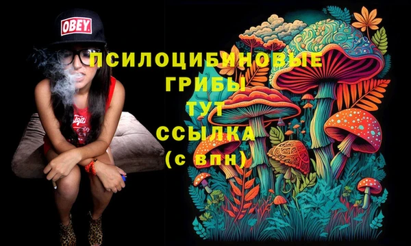 соль ск Баксан